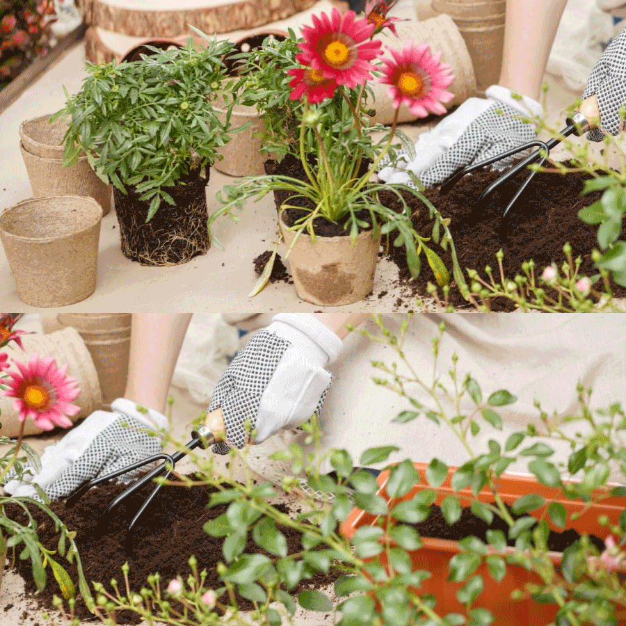 giá thể ươm hạt