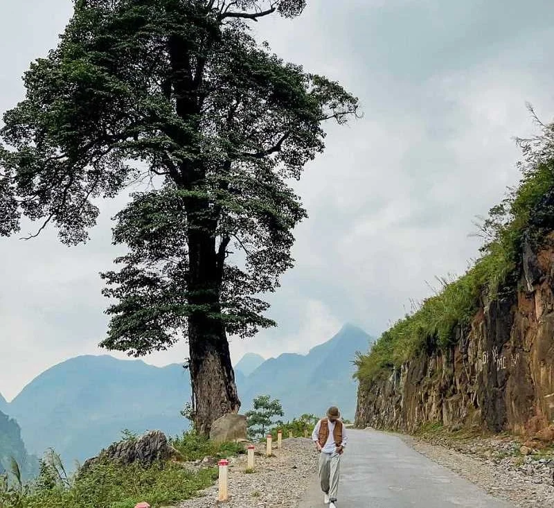 Tour du lịch Hà Giang từ TP.HCM