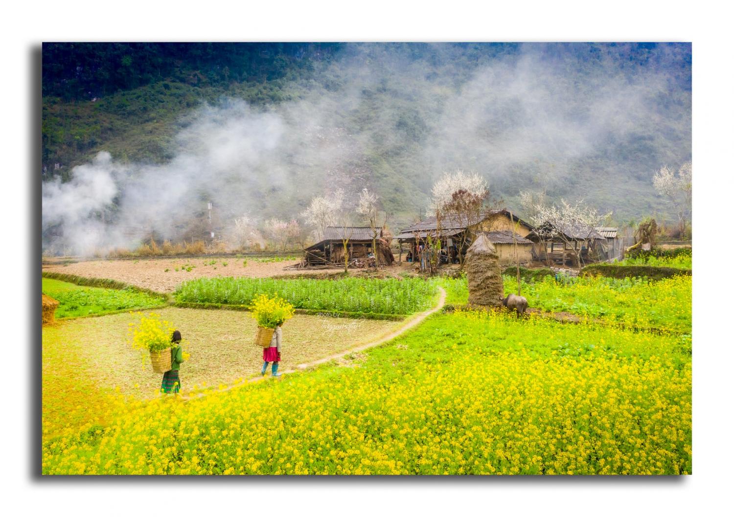 Tour du lịch Hà Giang từ TP.HCM