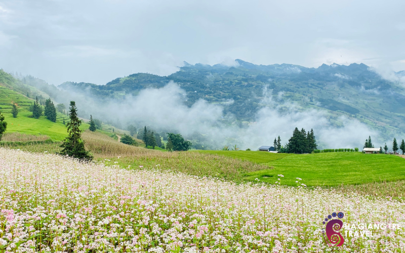 Tour du lịch Hà Giang