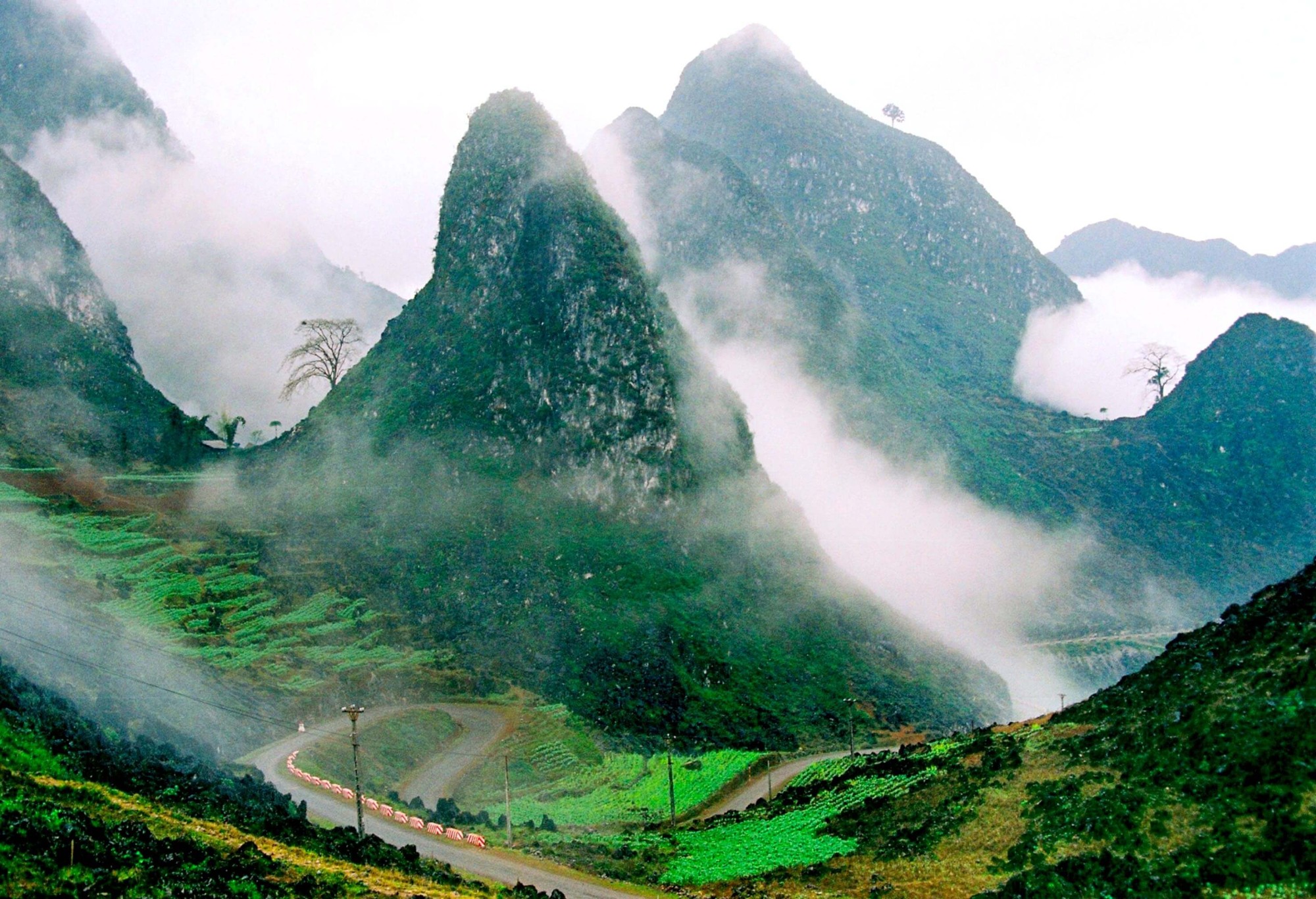 Tour du lịch Hà Giang